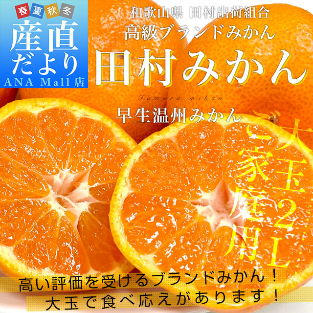 和歌山県より産地直送 田村出荷組合 田村みかん(早生温州みかん) ご家庭用 2Lサイズ 5キロ(30玉前後) 送料無料 (離島などの一部地域を除く) 有田 柑橘