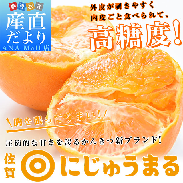 佐賀県より産地直送 JAグループ佐賀 にじゅうまる 3キロ化粧箱 (8玉から15玉) 送料無料(離島などの一部地域を除く) 柑橘 二重丸 中晩柑 みかん