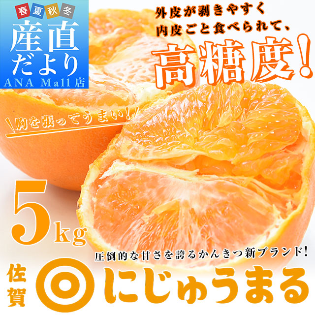 佐賀県より産地直送 JAグループ佐賀 にじゅうまる 4LからLサイズ 約5キロ(13玉から25玉前後) 送料無料(離島などの一部地域を除く) 柑橘 二重丸 中晩柑 みかん