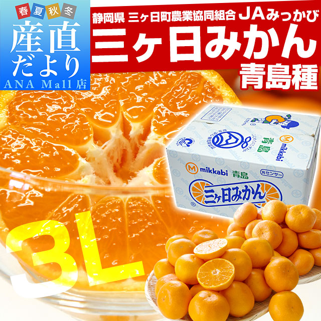 静岡県より産地直送 JAみっかび 三ケ日みかん (青島種) 3Lサイズ 7キロ (30玉から40玉)送料無料(離島などの一部地域を除く) 三ヶ日 みつかび ミカン 温州みかん