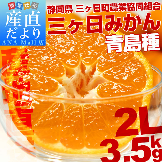 静岡県より産地直送 JAみっかび 三ケ日みかん (青島種) 2Lサイズ 3.5キロ (30玉前後) 送料無料(離島などの一部地域を除く) ミカン 蜜柑 三ヶ日 温州みかん