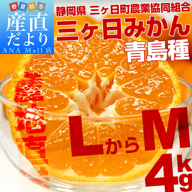 静岡県より産地直送 JAみっかび 三ケ日みかん (青島種)  LからMサイズ  4キロ 送料無料(離島などの一部地域を除く) 三ヶ日 みつかび ミカン 温州みかん