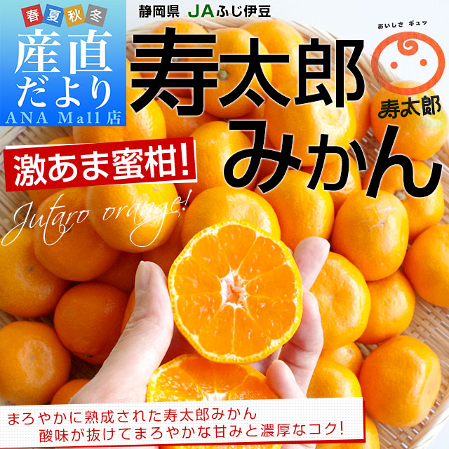 静岡県産 JAなんすん 西浦柑橘出荷部会 寿太郎みかん MからSサイズ 約3キロ(30玉から36玉前後)　市場スポット みかん ミカン
