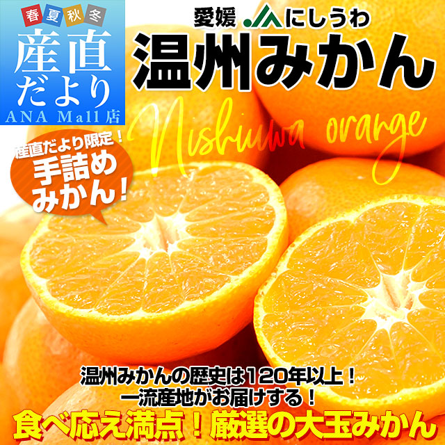 愛媛県より産地直送 JAにしうわ 西宇和温州みかん 2Lサイズ 約5キロ(35玉前後) 送料無料 みかん ミカン 蜜柑