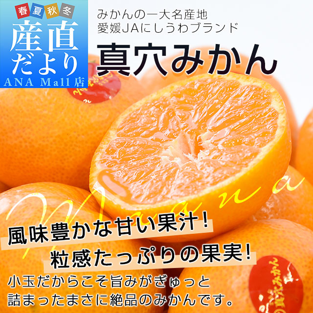 【お歳暮 ギフト】愛媛県産 JAにしうわ 真穴みかん 約2.8キロ(1.4キロ×2袋) LからSサイズ 送料無料（離島などの一部地域を除く） ミカン 蜜柑  愛媛みかん　市場発送