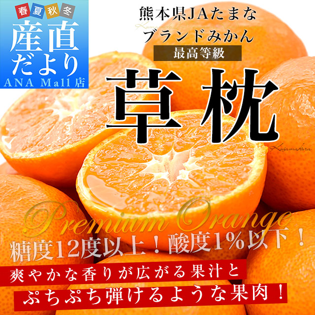【お歳暮 ギフト】熊本県 JAたまな ブランドみかん 最高等級：草枕 約4キロ LからSサイズ 送料無料(離島などの一部地域を除く) みかん 蜜柑 市場発送