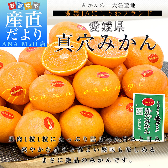 【お歳暮 ギフト】愛媛県 JAにしうわ 真穴みかん 3キロ以上2Lサイズ（21玉) 送料無料 ミカン 蜜柑 愛媛みかん 市場発送