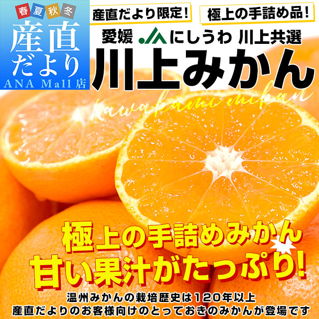 【お歳暮 ギフト】愛媛県 JAにしうわ「川上みかん」2Lサイズ 3キロ以上(21玉)送料無料(離島などの一部地域を除く) みかん ミカン 蜜柑