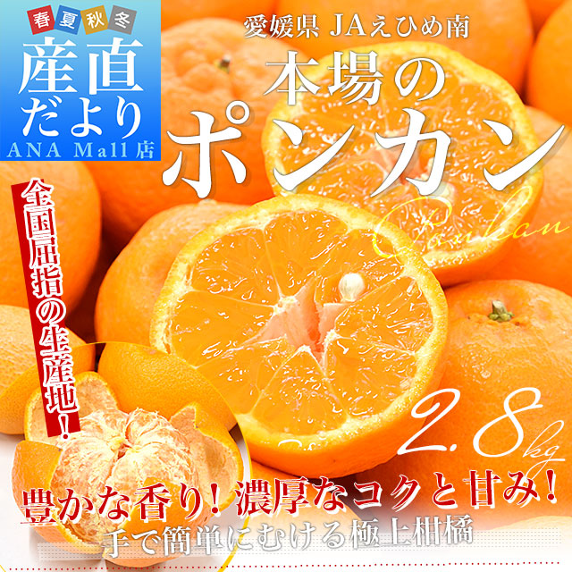 愛媛県産 JAえひめ南 ポンカン 赤秀品 Lサイズ 約2.8キロ (20玉から22玉前後) 送料無料 （離島など一部地域を除く） 柑橘 オレンジ ぽんかん