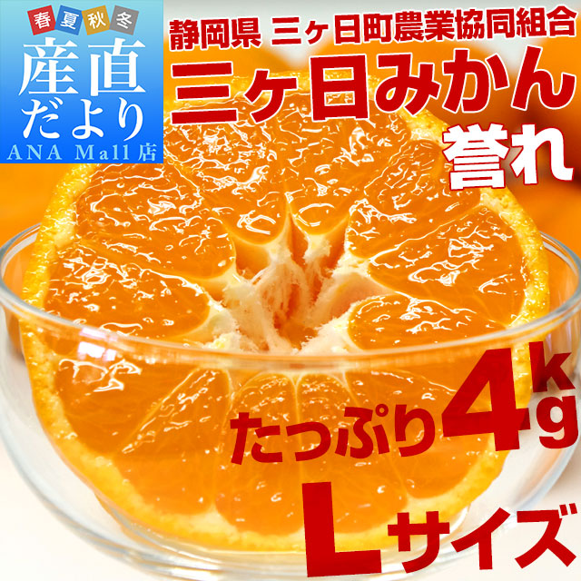 静岡県より産地直送  JAみっかび 三ケ日みかん 誉れ  Lサイズ 約4キロ ミカン 蜜柑 みかん　送料無料(離島などの一部地域を除く)