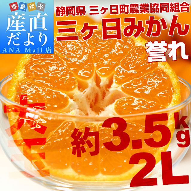 静岡県より産地直送  JAみっかび 三ケ日みかん 誉れ  2Lサイズ 約3.5キロ ミカン 蜜柑 みかん　送料無料