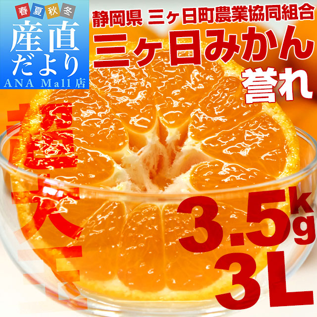 静岡県より産地直送  JAみっかび 三ケ日みかん 誉れ  超大玉3Lサイズ 約3.5キロ ミカン 蜜柑 みかん　送料無料(離島などの一部地域を除く)
