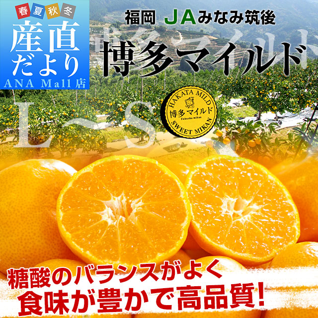 【お歳暮 ギフト】福岡県産JAみなみ筑後 博多マイルド LからSサイズ 約4キロ(30玉から50玉前後)送料無料(離島などの一部地域を除く) 蜜柑 みかん