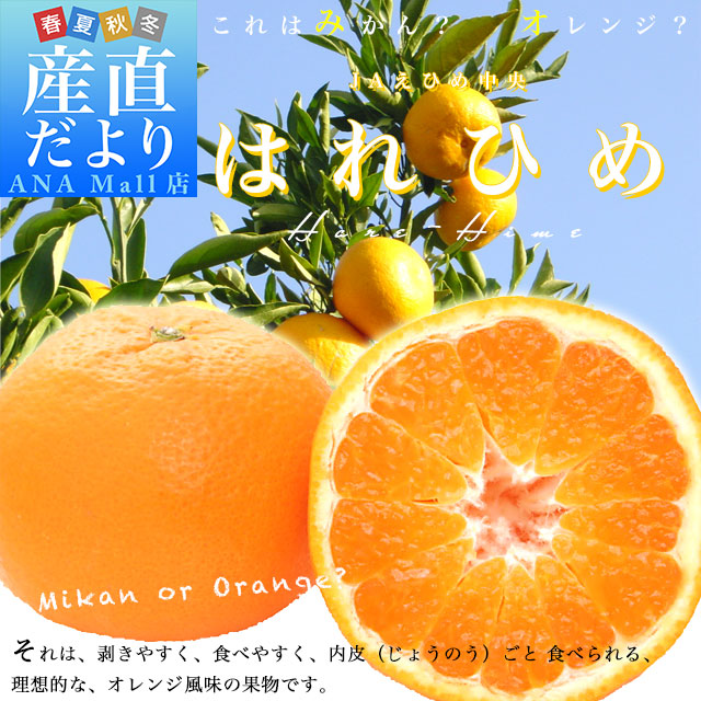 愛媛県より産地直送 JAえひめ中央 はれひめ 2LからLサイズ 約5キロ(28玉から43玉前後) 送料無料(離島などの一部地域を除く) オレンジ 柑橘類 みかん