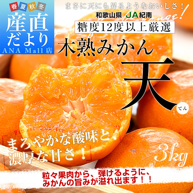 和歌山県 JA紀南 糖度12度以上 木熟みかん「天」約3キロ MからSサイズ(30玉から36玉前後) 送料無料(離島などの一部地域を除く) 蜜柑 ミカン 柑橘