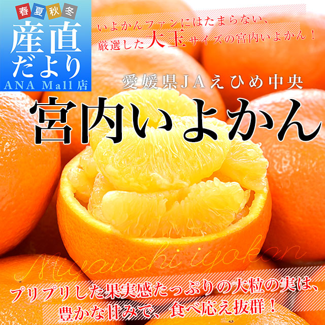 愛媛県産 JAえひめ中央 宮内いよかん 赤秀品 約3キロ 3Lから2Lサイズ （10玉から12玉） 送料無料(離島などの一部地域を除く) 伊予柑 柑橘 市場発送