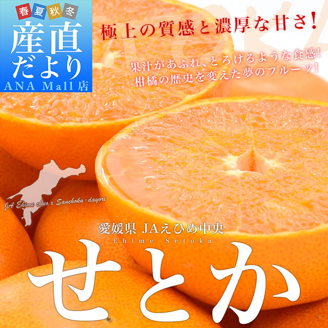 愛媛県産 JAえひめ中央 せとか 青秀品 化粧箱 4Ｌから2Lサイズ 約3キロ（8玉から12玉） 送料無料 （離島など一部地域を除く）柑橘 オレンジ