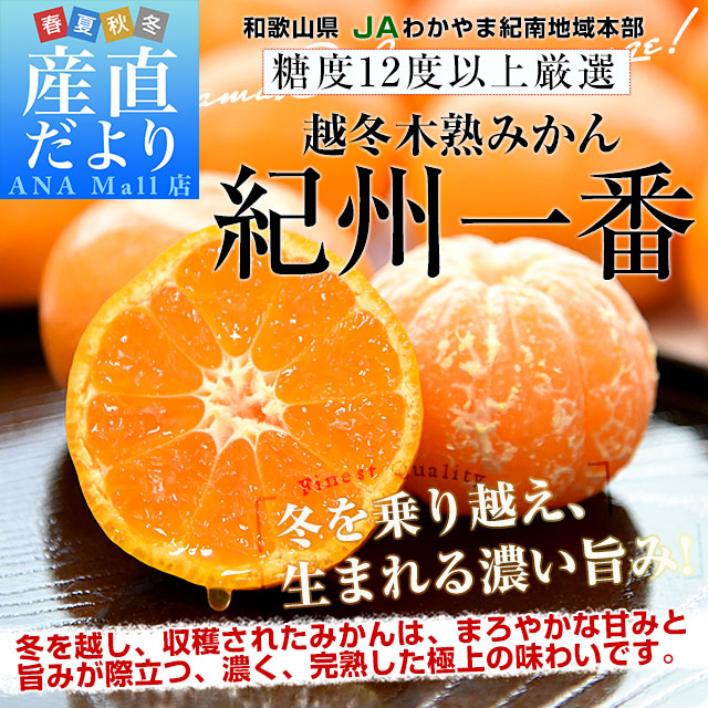 和歌山県 JAわかやま紀南地域本部 越冬木熟みかん「紀州一番」LからSサイズ 約5キロ(40玉から60玉前後) みかん ミカン 送料無料(離島などの一部地域を除く)