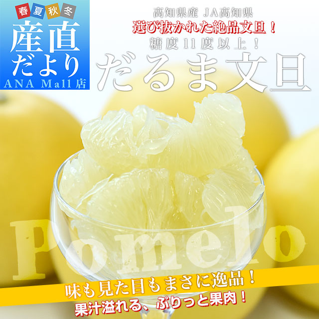 高知県産 JA高知県 だるま文旦 3.5キロ以上 2LからLサイズ（8玉から9玉）送料無料(離島などの一部地域を除く) 柑橘 ぶんたん 文旦