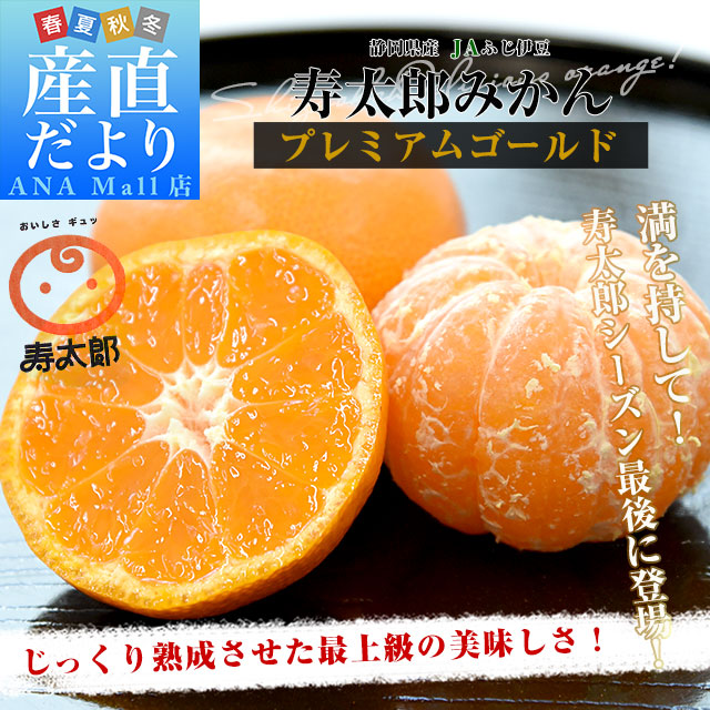 静岡県産 JAふじ伊豆 西浦柑橘出荷部会 寿太郎みかんプレミアムゴールド MからSサイズ 約5キロ（50玉から60玉前後）市場スポット みかん ミカン　蜜柑