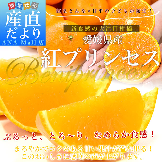愛媛県産「紅プリンセス」優品以上 約2.5キロ2LからMサイズ(10玉から16玉前後入り) 送料無料(離島などの一部地域を除く) 柑橘 紅まどんな 甘平 市場発送