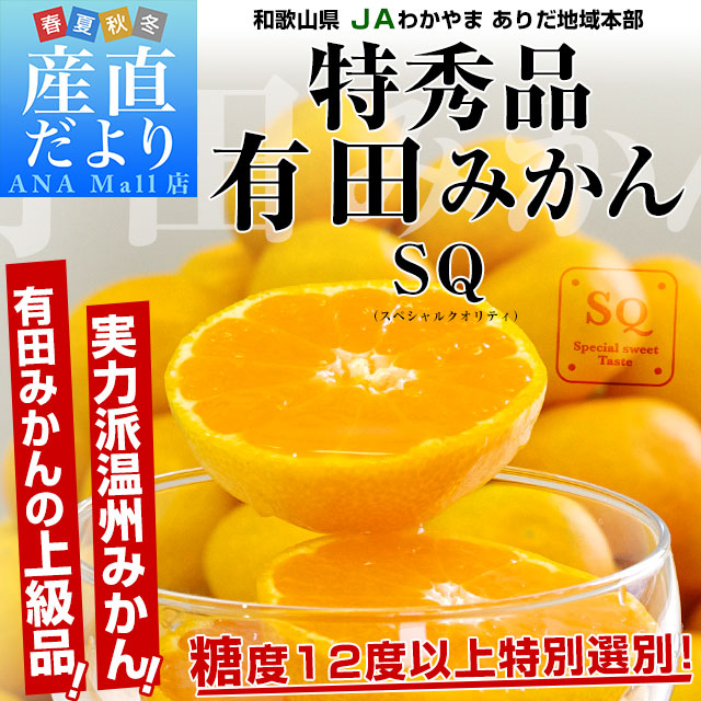 和歌山県より産地直送 JAわかやま ありだ地域本部 有田みかん 糖度12度以上 特秀品「SQ スペシャルクオリティ」LからSサイズ 5キロ(40玉から60玉) 送料無料（離島など一部地域を除く）