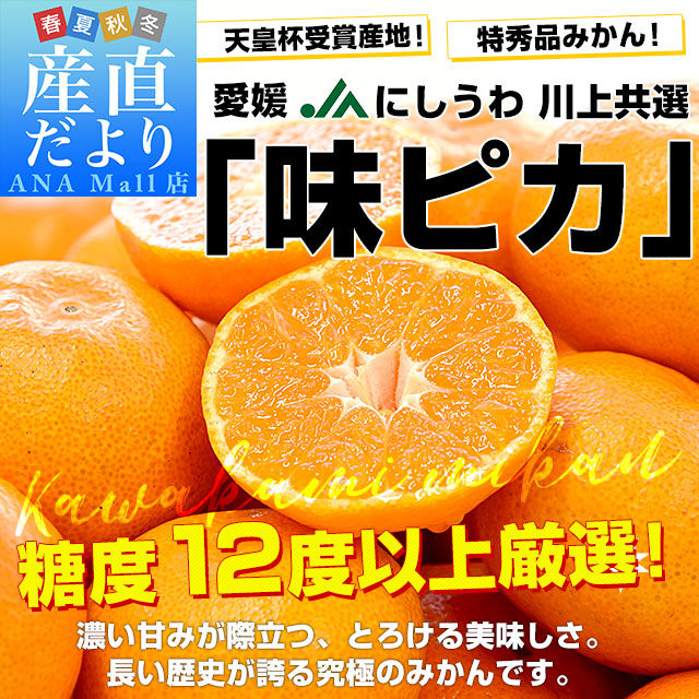 【お歳暮 ギフト】愛媛県 JAにしうわ 川上共選 最高等級みかん「味ピカ」LからSサイズ 約2.5キロ(20玉から30玉前後) 送料無料(離島などの一部地域を除く) ミカン 市場発送
