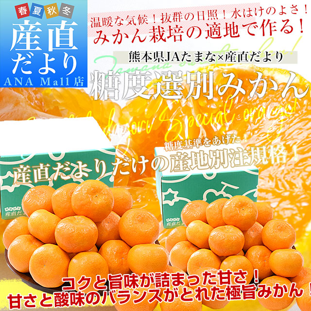 熊本県 JAたまな 糖度選別みかん 約2キロ×2箱 MからSSサイズ (合計40玉から60玉前後）送料無料(離島などの一部地域を除く) 蜜柑 みかん ミカン