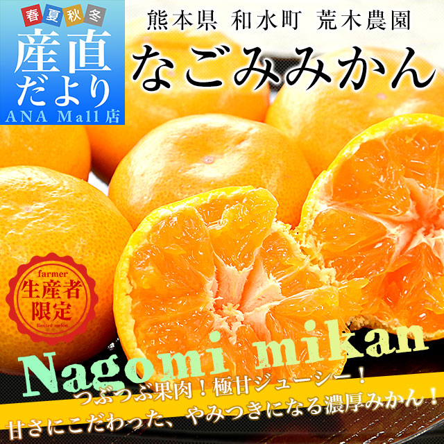熊本県から産地直送 和水町 荒木農園 なごみみかん 秀品 MからSサイズ 約5キロ(50玉から60玉前後)送料無料(離島などの一部地域を除く) ミカン 蜜柑 和水