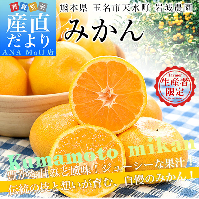 熊本県から産地直送 玉名市天水町 岩城農園 みかん LからSサイズ 約3キロ(24玉から36玉前後)送料無料(離島などの一部地域を除く) ミカン 蜜柑 iFARM