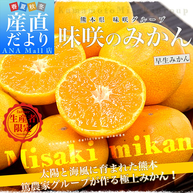 熊本県 味咲グループ 早生みかん SからLサイズ 約3キロ(合計24玉から36玉前後) 送料無料(離島など一部地域を除く) みかん 蜜柑 柑橘