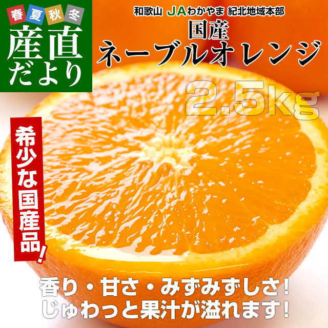 �񻺥͡��֥륪���2.5kg