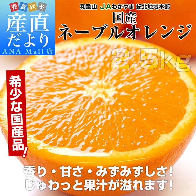 和歌山県 JAわかやま 紀北地域本部 国産ネーブルオレンジ Lから3Lサイズ 約2.5kg(9玉から13玉前後) 送料無料(離島など一部地域を除く) オレンジ ネーブルオレンジ 国産柑橘