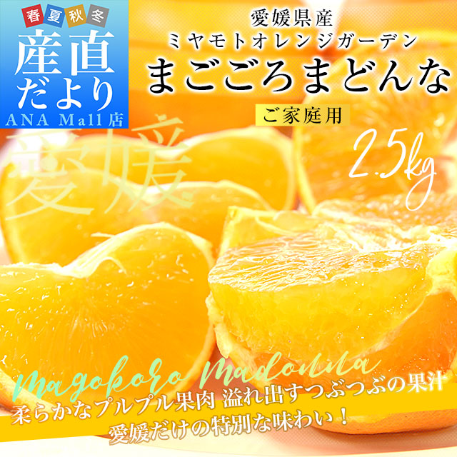 愛媛県より産地直送 まごころまどんな（愛媛果試第28号） ご家庭用 約2.5キロ Mから3Lサイズ（8玉から15玉前後） 送料無料（離島など一部地域を除く） 柑橘
