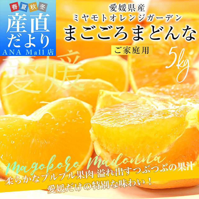 愛媛県より産地直送 まごころまどんな（愛媛果試第28号） ご家庭用 約5キロ Mから3Lサイズ（16玉から30玉前後） 送料無料（離島など一部地域を除く） 柑橘