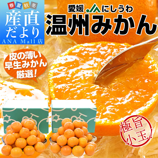 愛媛県産 JAにしうわ 西宇和温州みかん 極旨小玉 2Sサイズ 約2キロ×2箱（合計60玉から72玉前後）送料無料(離島などの一部地域を除く) ミカン 蜜柑
