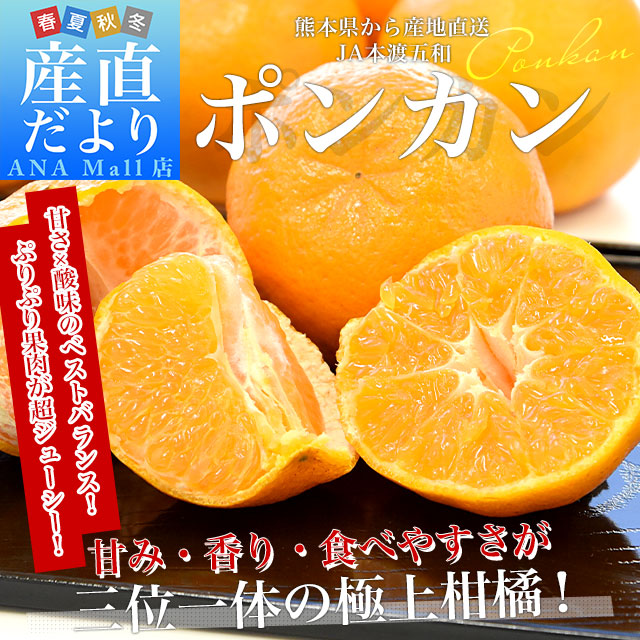 熊本県から産地直送 JA本渡五和 ポンカン 化粧箱 Lから2Lサイズ