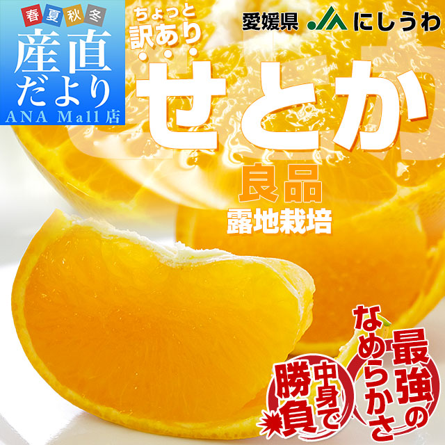 愛媛県 JAにしうわ せとか 露地栽培 良品 ちょっと訳あり 約2.5キロ 3LからLサイズ (8玉から13玉) 送料無料(離島などの一部地域を除く) セトカ 西宇和
