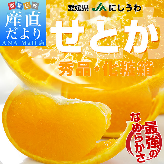 愛媛県より産地直送 JAにしうわ せとか 秀品 3Lから2Lサイズ 3キロ化粧箱(10玉から12玉)送料無料(離島などの一部地域を除く) セトカ 西宇和
