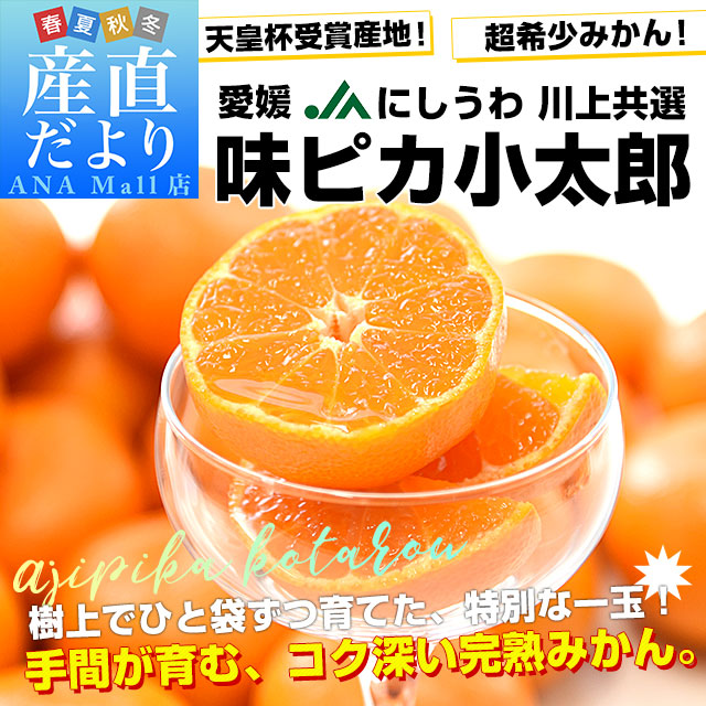 愛媛県産 JAにしうわ 川上共選 味ピカ小太郎 2.5キロ化粧箱(30個入り) 送料無料 （離島など一部地域を除く）味ピカ みかん 西宇和
