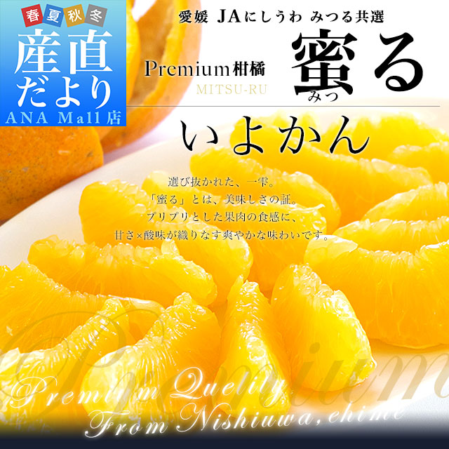 愛媛県産 JAにしうわ みつる共選 プレミアムいよかん 蜜る（みつる） 2LからLサイズ 約3キロ（11玉から14玉前後） 送料無料(離島含む一部地域を除く) にしうわ 西宇和 伊予柑