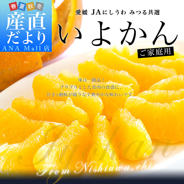 愛媛県産 JAにしうわ みつる共選 いよかん ご家庭用 2LからLサイズ 約4キロ(14玉から18玉前後) 送料無料(離島含む一部地域を除く) にしうわ 西宇和 伊予柑