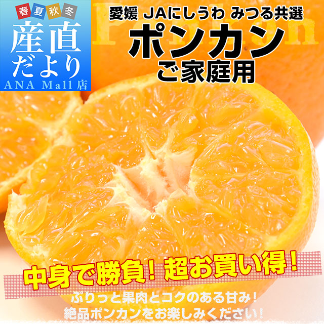 愛媛県産 JAにしうわ みつる共選 ポンカン ご家庭用 2LからLサイズ 約3キロ（16玉から24玉前後） 送料無料(離島などの一部地域を除く) にしうわ ぽんかん 柑橘 訳あり