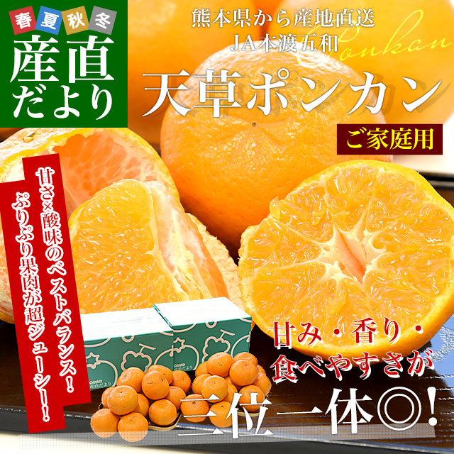 ŷ��ݤ󤫤󤴲�����2.5kg2Ȣ