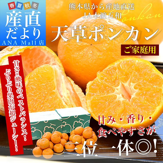 【家計応援価格！】熊本県から産地直送 JA本渡五和 天草ポンカン ご家庭用 2LからSサイズ 約2.5キロ×2箱 （合計30玉から50玉前後） 送料無料（離島などの一部地域を除く） ぽんかん 柑橘