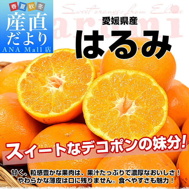 愛媛県産 はるみ 赤〇以上 約5キロ3LからLサイズ (18玉から30玉前後）送料無料(離島などの一部地域を除く) 柑橘 ハルミ