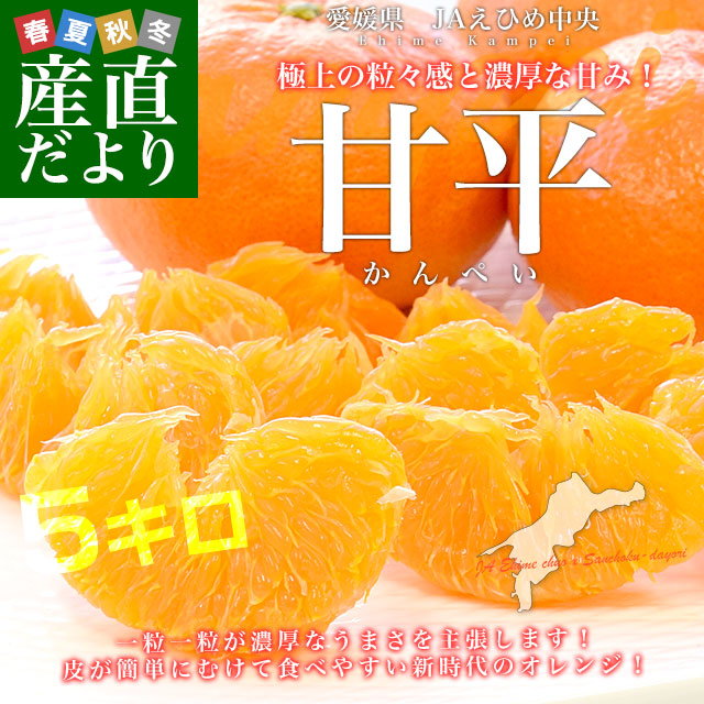 ��ʿ��5����