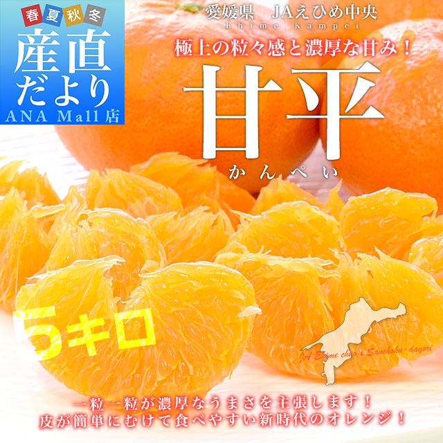 愛媛県産 JAえひめ中央 甘平 青〇品以上 4Lから5L 約5キロ(10玉から15玉前後) 送料無料(離島など一部地域を除く) 柑橘 オレンジ カンペイ