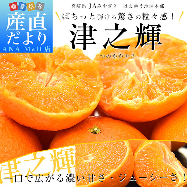 宮崎県 JAみやざき はまゆう地区本部 津之輝(つのかがやき) 秀品 化粧箱 3LからLサイズ 約2キロ（9玉から12玉）送料無料(離島などの一部地域を除く) 柑橘 津の輝