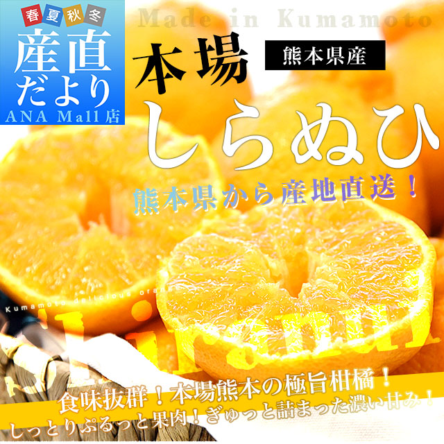 【家計応援価格！】熊本県から産地直送 熊本県産 しらぬい(不知火) 優品以上 3LからMサイズ 約2.3キロ×2箱(合計15玉から28玉前後) 送料無料(離島などの一部地域を除く) しらぬひ 柑橘